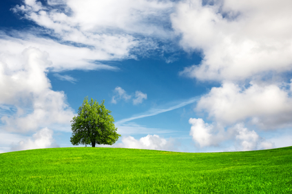 cloud_is_green